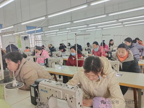 巾幗聯(lián)動送技能，多措并舉促就業(yè)——信息技術(shù)咨詢服務(wù)助力婦女零距離發(fā)展