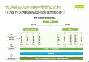 2019年中國教育信息化行業(yè)報(bào)告 信息技術(shù)咨詢服務(wù)