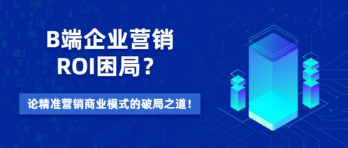 B端企業(yè)營銷ROI困局與破局 精準(zhǔn)營銷模式下的信息技術(shù)咨詢服務(wù)價(jià)值探析